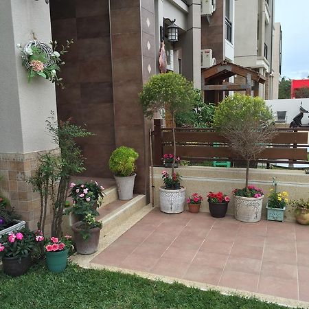 Hana Homestay T'ai-tung エクステリア 写真